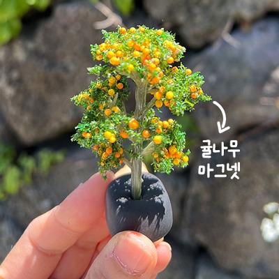 a tangerine-tree magnet
